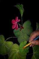 Painter